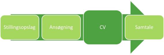 jobsøgning proces CV